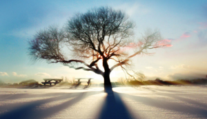 南非代表团射箭选手表现出色,力压对手进入四强