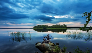 大象队连胜狂潮引起球迷狂欢