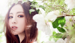 大象队连胜狂潮引起球迷狂欢